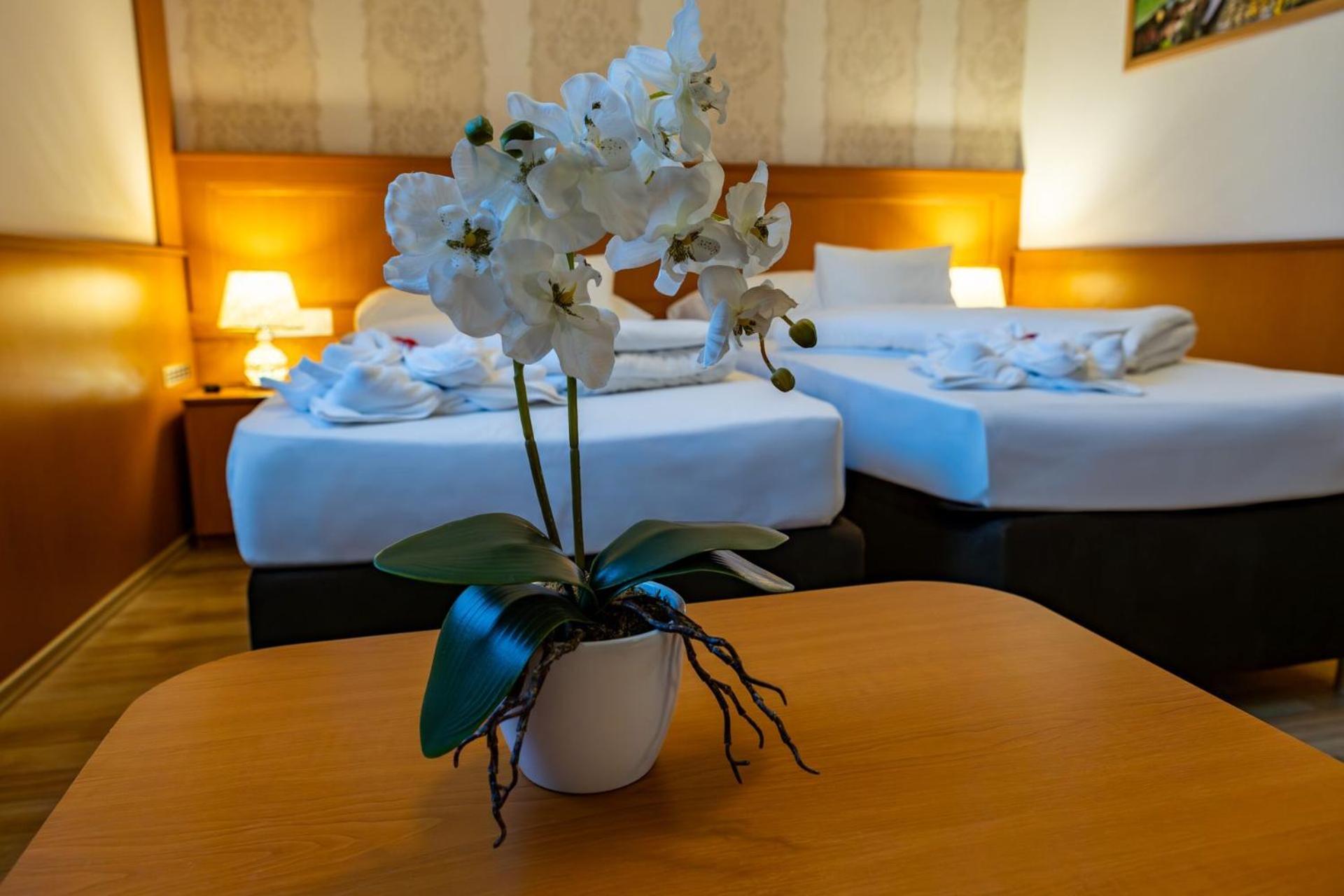 Hotel Barbakan Pécs Eksteriør bilde
